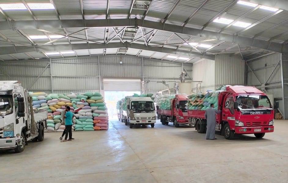 البنك الزراعي المصري يبدأ استلام محصول القمح من المزارعين